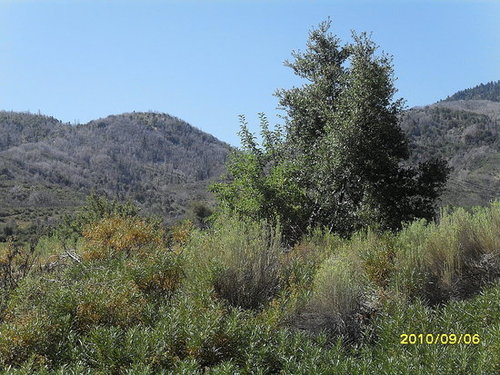 Silver Lake