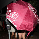 Guess Who's Taking Refuge Under an Umbrella? Guess Who's Taking Refuge Under an Umbrella?