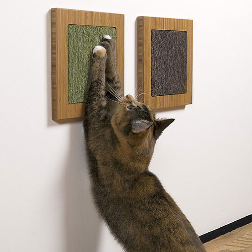 Itch to Scratch Itch to Scratch