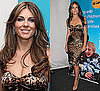 Photos of Elizabeth Hurley in Tight Fitting Leopard Print Dress