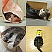 Maru