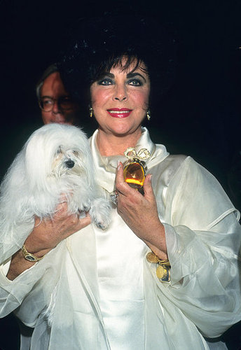 Elizabeth Taylor: Surprising Facts About Her Fragrances 2011-03-23 14:55:57