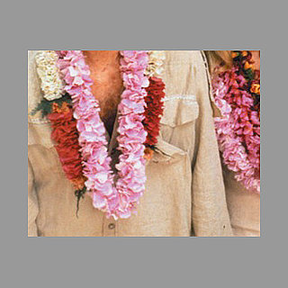 Name That Movie Challenge For Tropical Destination Films