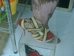 Have You Ever Found a Designer Piece in a Charity Shop? Have You Ever Found a Designer Piece in a Charity Shop?