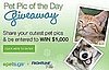 Show Off Your Cute Pet Pics and Win $1,000 From FRONTLINE Plus!