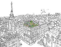 New Hermès Jardin Sur Le Toit Perfume Smells Like a City Summer New Hermès Jardin Sur Le Toit Perfume Smells Like a City Summer