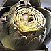 Roasted Artichokes