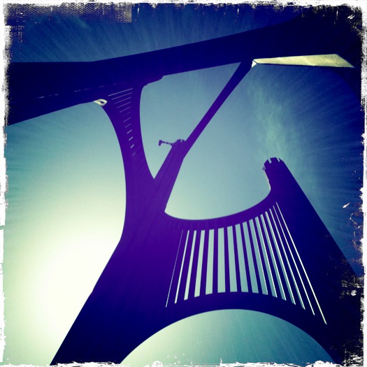 SSF Wind Harp