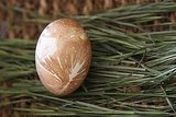 natural dye for easter eggs