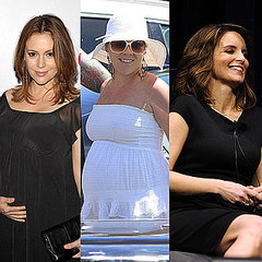 Pictures of Alyssa Milano, Pink, and Tina Fey Pregnant Pictures of Alyssa Milano, Pink, and Tina Fey Pregnant