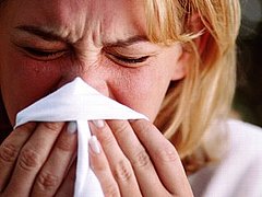 Seasonal Allergies Got You Down