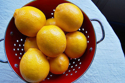 Meyer Lemon Meyer Lemon