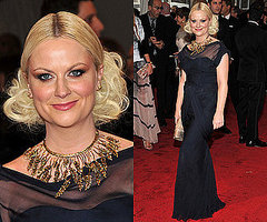 Amy Poehler 2011 Met Gala Amy Poehler 2011 Met Gala