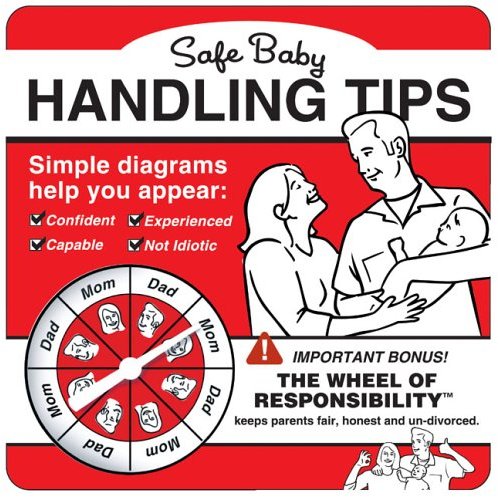 Safe Baby Handling Tips ($10) Safe Baby Handling Tips ($10)