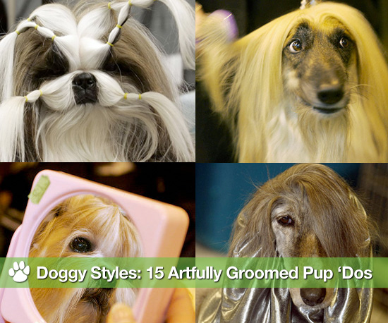 Doggy Styles: 15 Artfully Groomed Pup 'Dos