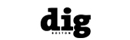 Dig Boston