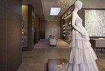The Dress