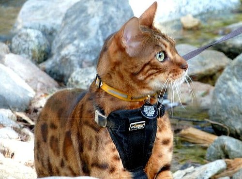 Enjoying the Holiday with a Hike