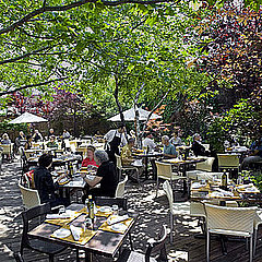 Outdoor Dining in Chicago