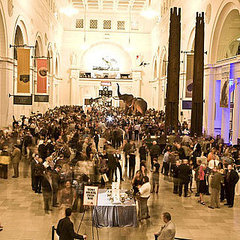 Wine Enthusiast Toast of the Town