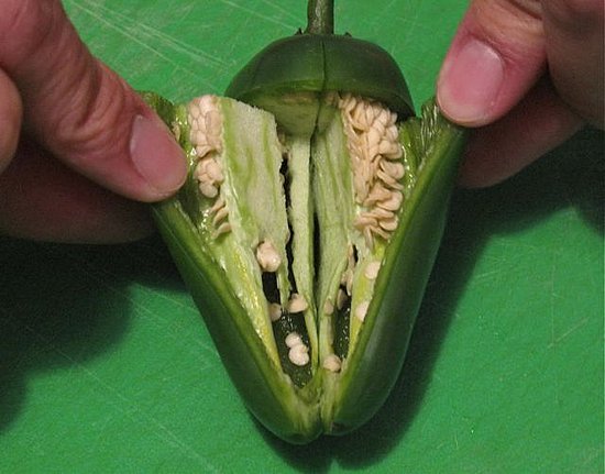 Step 3: Open the flaps to reveal all the pepper's seeds and veins.