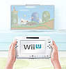 Wii U Details