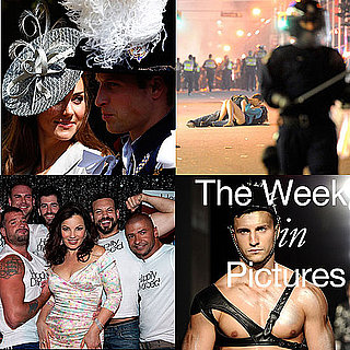 Pictures of Fran Drescher With Gay Men at Happily Divorced Premiere