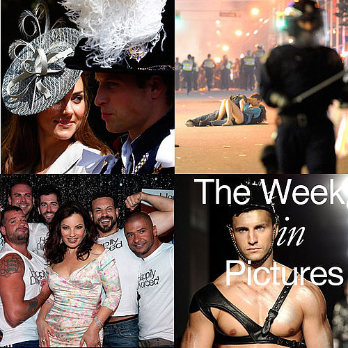 Pictures of Fran Drescher With Gay Men at Happily Divorced Premiere