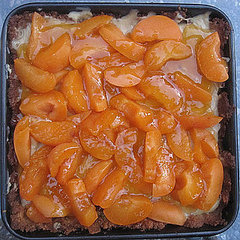 Apricot Tart Recipe