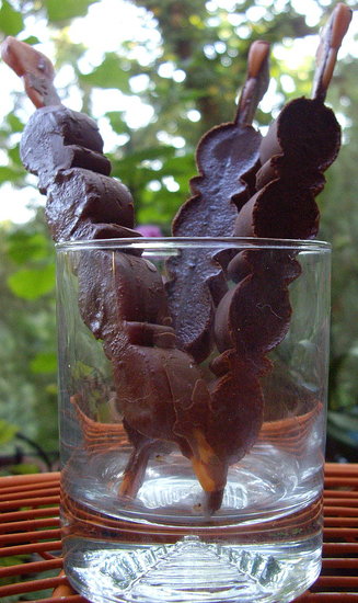 Mexican Hot Chocolate Pops