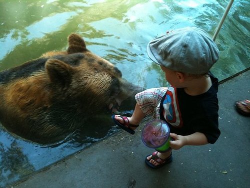 Bear encounter!