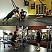 TRX: Fad or Here to Stay?