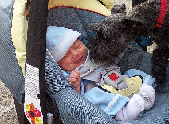 Outfits for Newborns to Wear Home From the Hospital