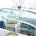 Birdcage