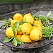 Lemons