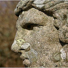 One-Third of Nose Job Patients Have a Psychological Disorder 2011-07-29 11:36:10 One-Third of Nose Job Patients Have a Psychological Disorder 2011-07-29 11:36:10