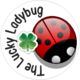 The Lucky Ladybug