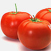 How to Store Tomatoes