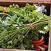 Tips for Shopping at the Farmers Market