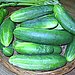 A Bountiful Harvest from Our Vegetable Garden