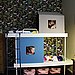 A Sleek Bunk Bed System
