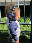 The Style