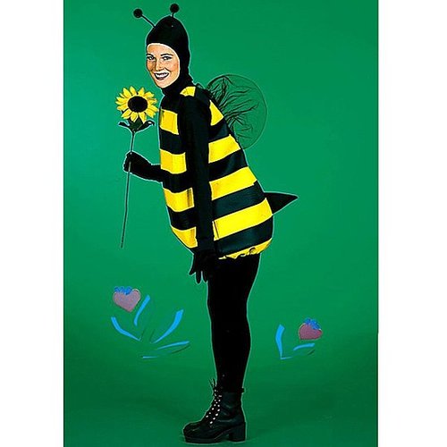 Bumble Bee Bumble Bee