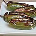 Gyro Jalapeño Poppers