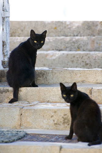 Source: Flickr User Colmarino
Source: Flickr User Colmarino