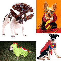 Geeky Pet Costumes For Halloween