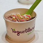LA's Best Frozen Yogurt Spots