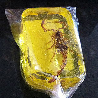 Food Delicacies From Around the World