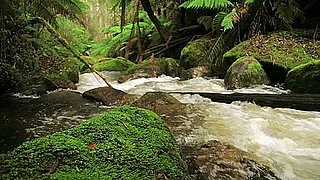 Kristen Bell and Alexandra Cousteau on Water Conservation