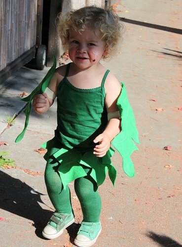 This Kid's Gone to Seed